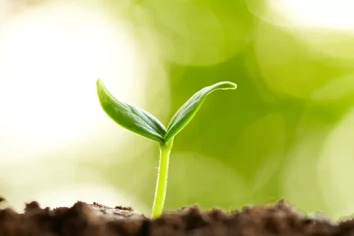 Environmental issues are important to Scotmas.