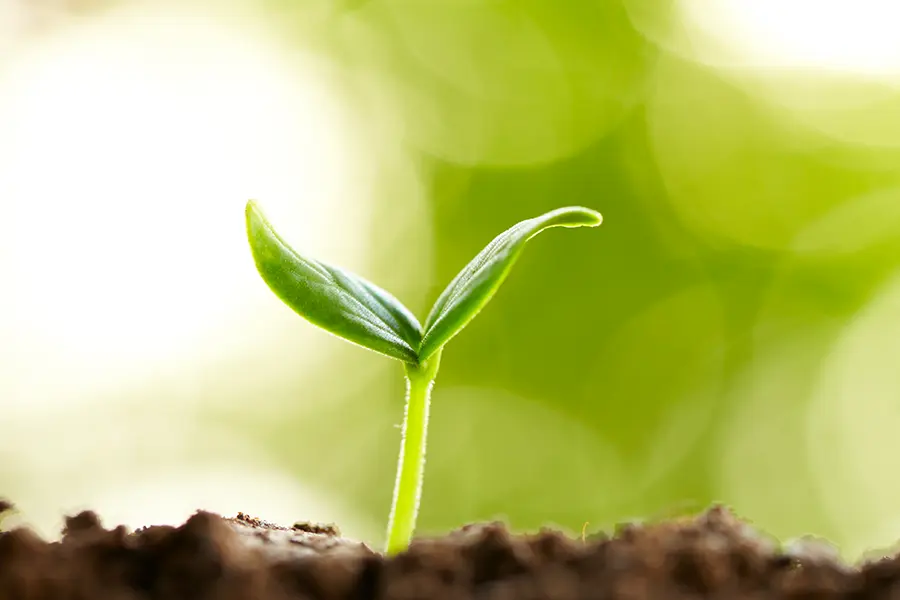 Environmental issues are important to Scotmas.