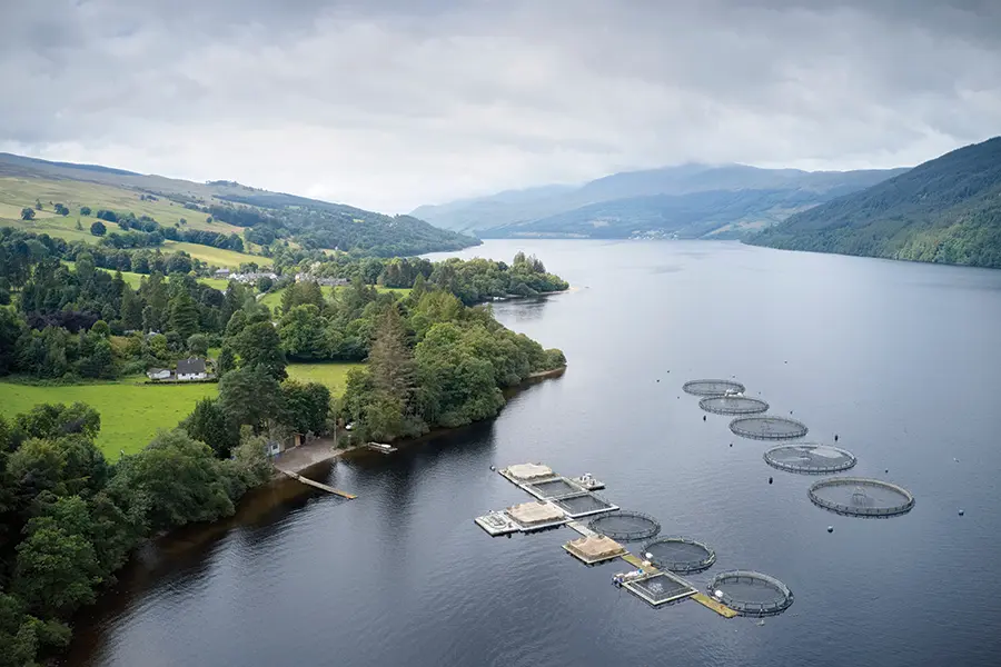 Image of Scottish Fish Farm.