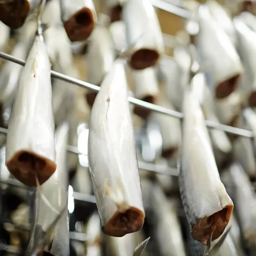 Fish Processing. Scotmas - Chlorine Dioxide Specialist