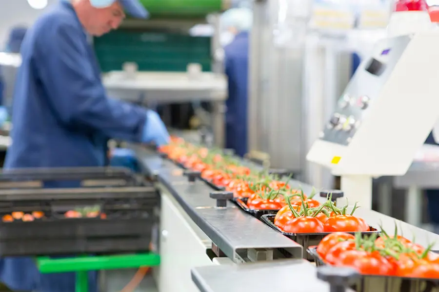 Food Processing. Scotmas - Chlorine Dioxide Specialist