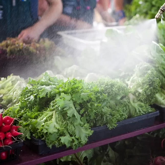 Food Processing. Scotmas - Chlorine Dioxide Specialist