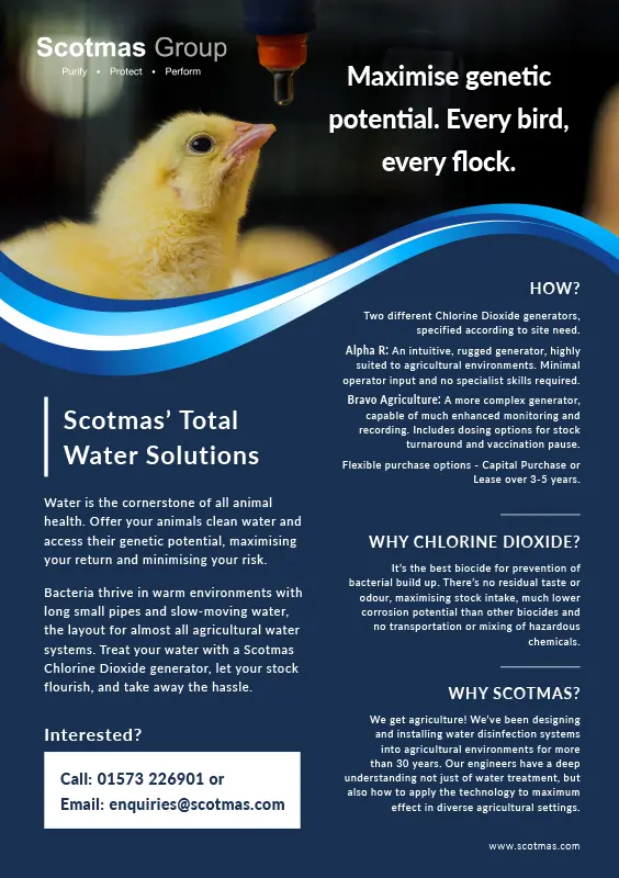 Total Water Solution - Poultry Health - Scotmas