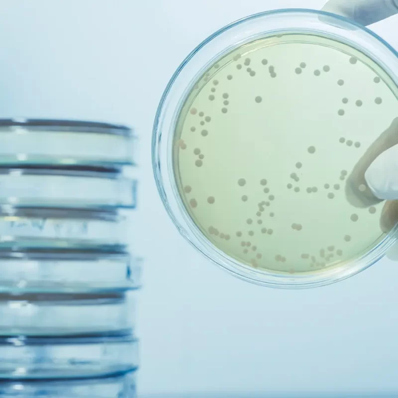 Legionella Control - Scotmas - Chlorine Dioxide Specialist.