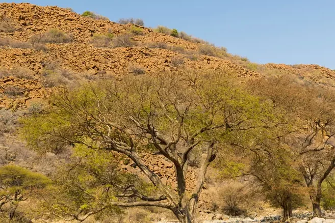 Image of Arid landscape.