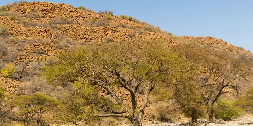 Image of Arid landscape. Image of Arid landscape.