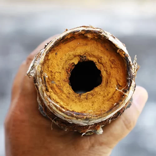 Biofilm Build-up in Distribution Lines: Scotmas