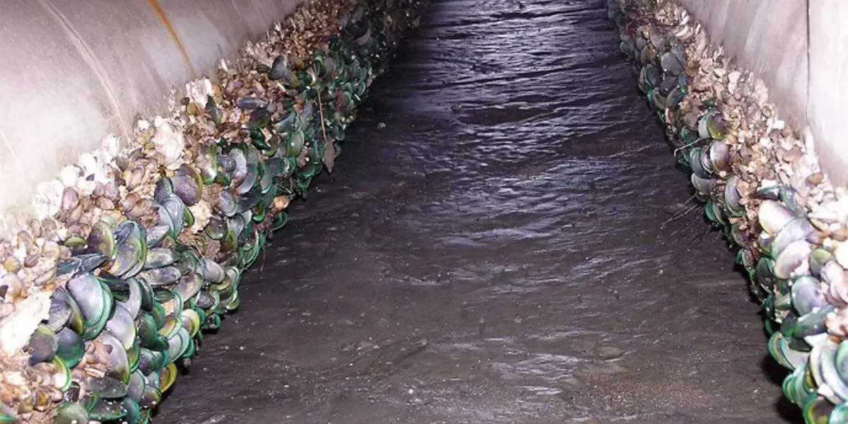 Effective Macrofouling Control with Active Chlorine Dioxide Dosing