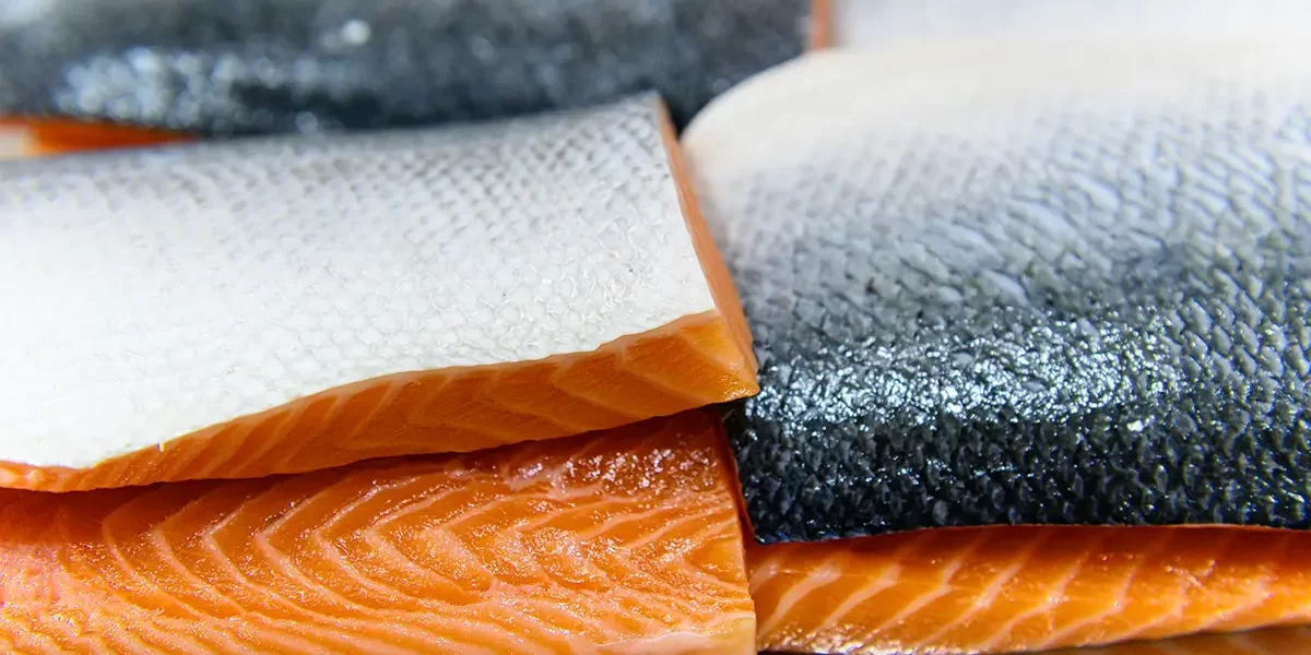 Chlorine Dioxide: The Safer and More Effective Biocide for Fish Processing Plants Chlorine Dioxide: The Safer and More Effective Biocide for Fish Processing Plants