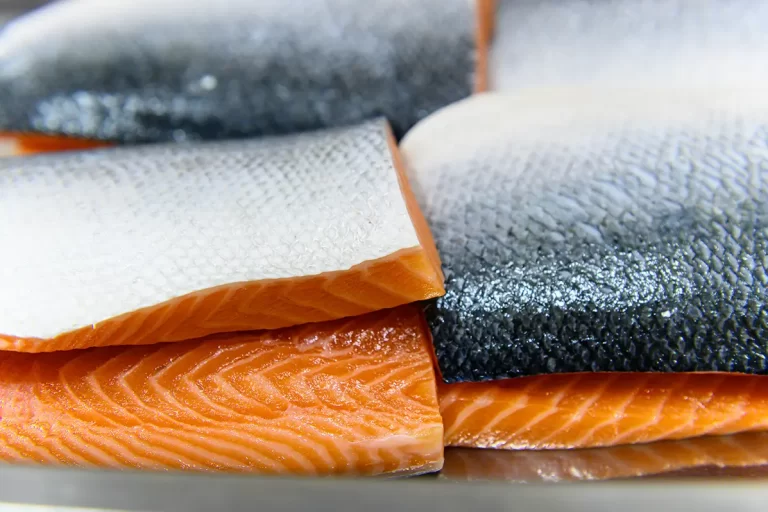 Chlorine Dioxide: The Safer and More Effective Biocide for Fish Processing Plants Chlorine Dioxide: The Safer and More Effective Biocide for Fish Processing Plants