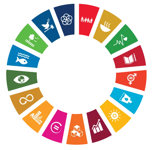 UN Sustainable Development Goals UN Sustainable Development Goals