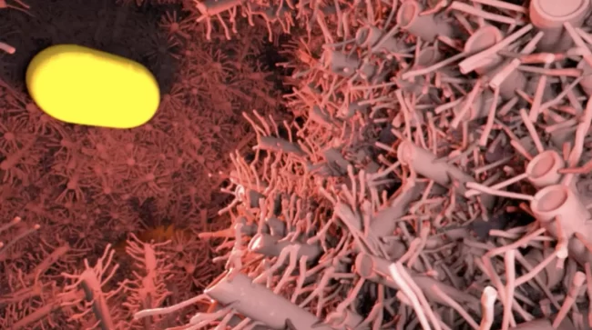 Enhancing Chicken Health with Chlorine Dioxide Water Treatment Enhancing Chicken Health with Chlorine Dioxide Water Treatment