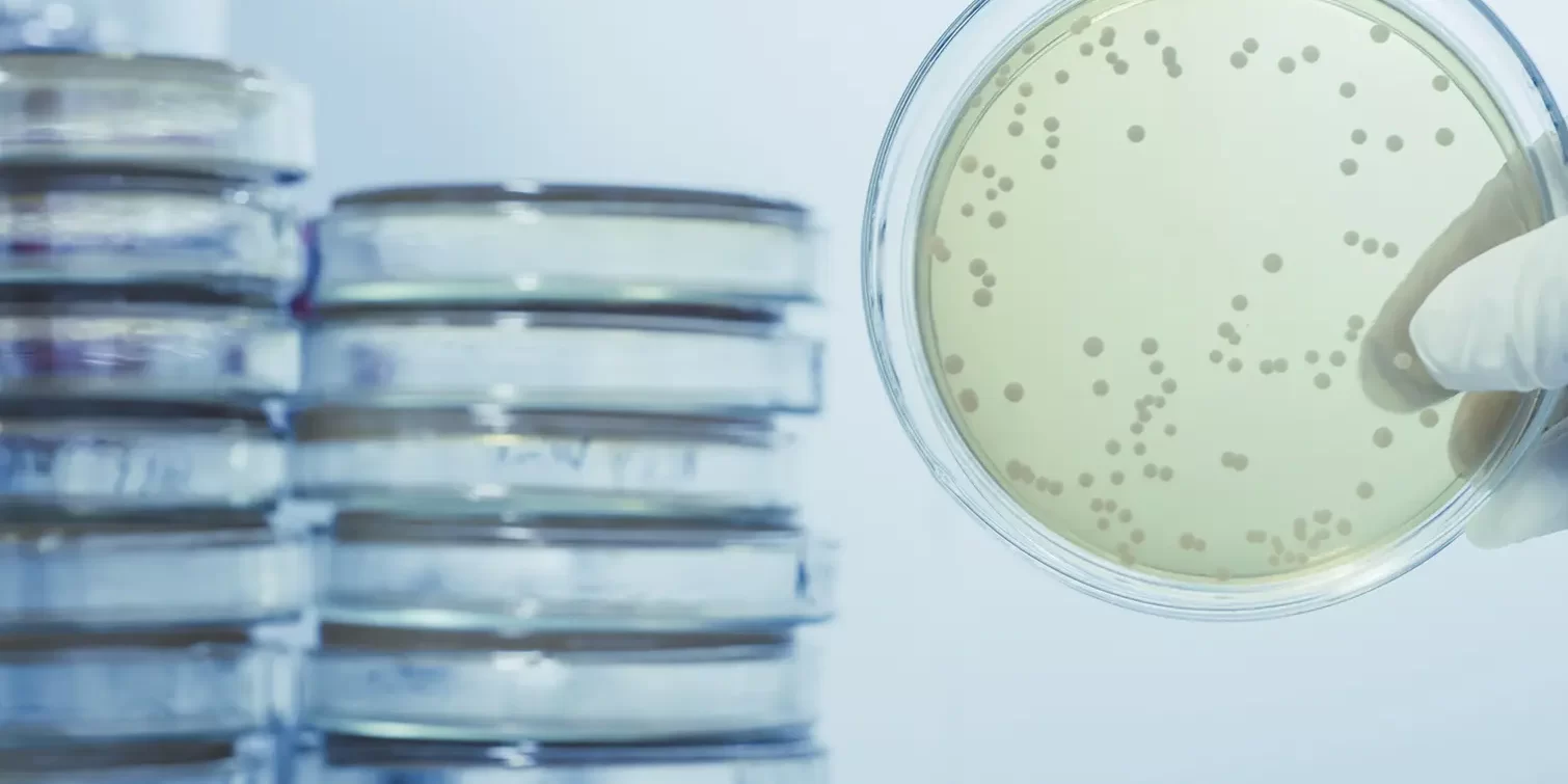 The Role of Chlorine Dioxide in Legionella Control The Role of Chlorine Dioxide in Legionella Control