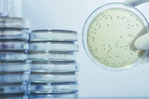 The Role of Chlorine Dioxide in Legionella Control