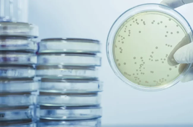 The Role of Chlorine Dioxide in Legionella Control The Role of Chlorine Dioxide in Legionella Control