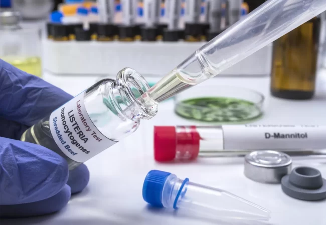 Listeria monocytogenes, a bacterium found in soil, water, and contaminated food, poses significant risks to public health, particularly in the food industry. Listeria monocytogenes, a bacterium found in soil, water, and contaminated food, poses significant risks to public health, particularly in the food industry.