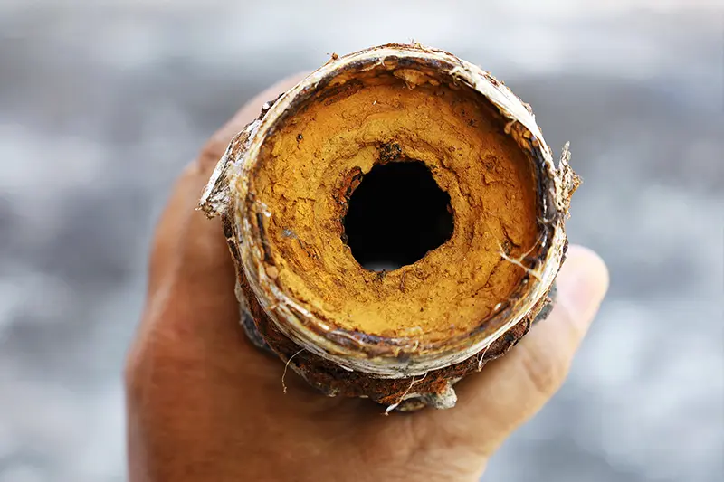 vertical farming biofilm vertical farming biofilm