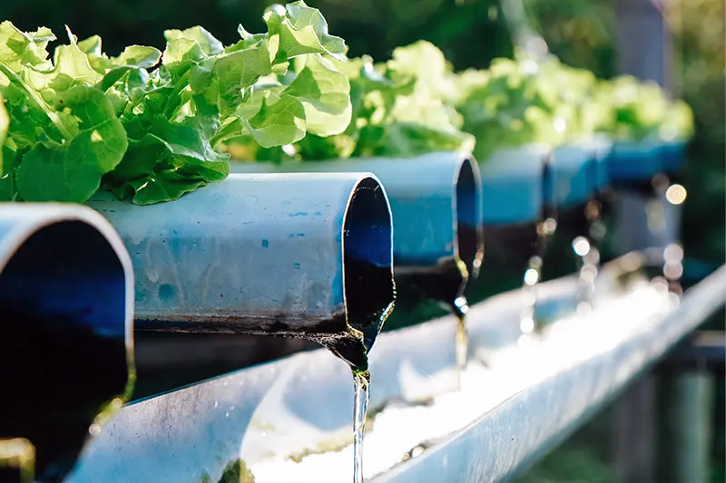 vertical farming pipes vertical farming pipes