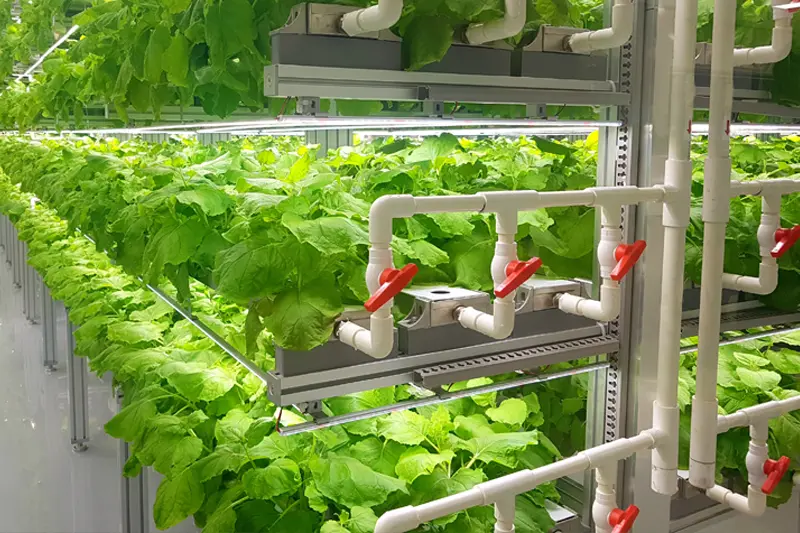 vertical farming system vertical farming system