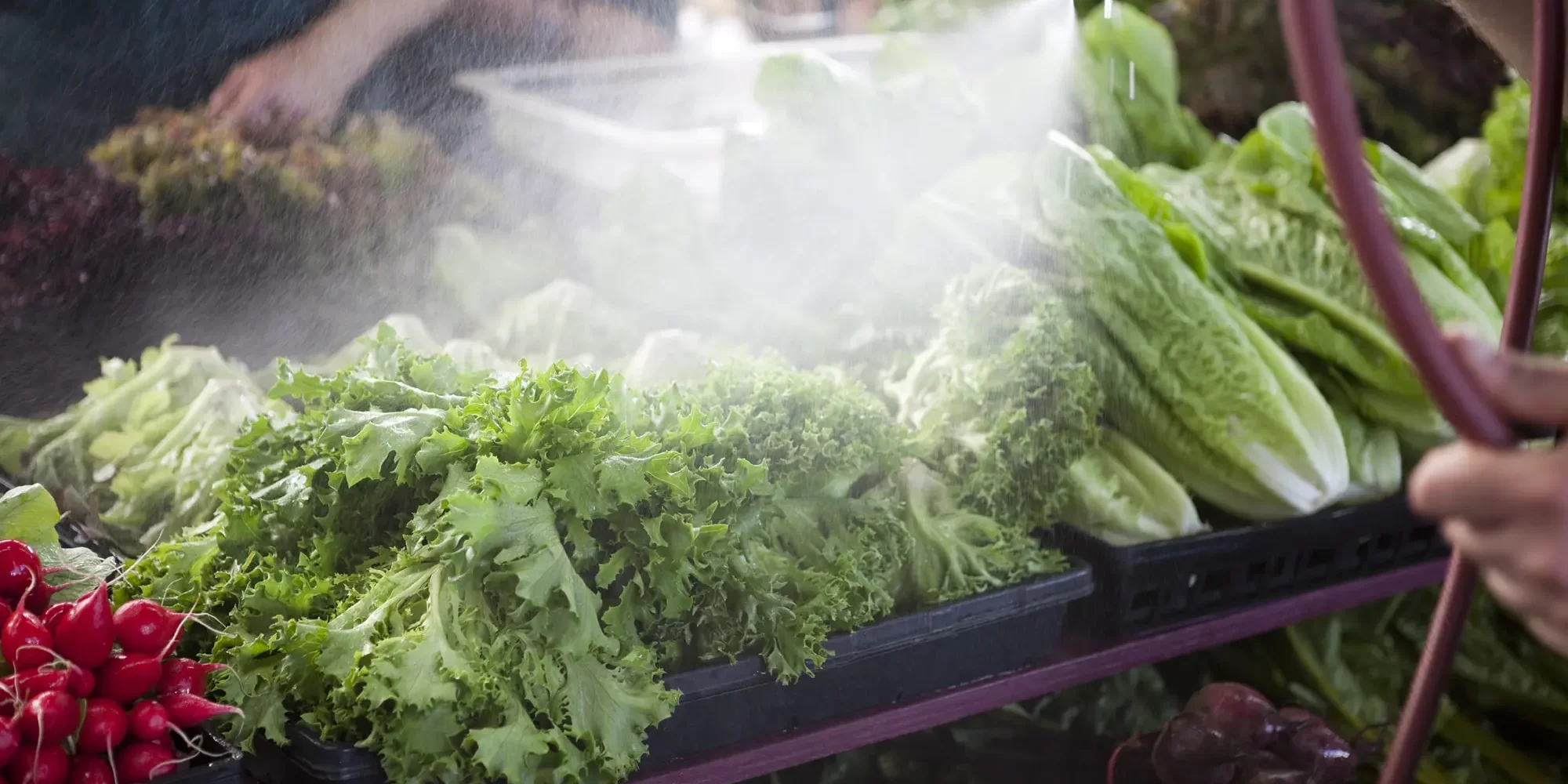 Revolutionising Fruit and Vegetable Washing with Chlorine Dioxide Revolutionising Fruit and Vegetable Washing with Chlorine Dioxide