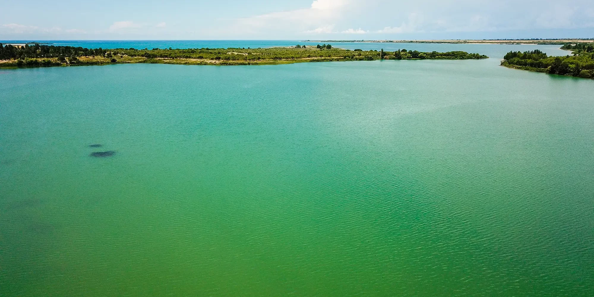 The Impact of Chlorine Dioxide on Algae Control in Water Systems The Impact of Chlorine Dioxide on Algae Control in Water Systems