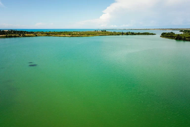 The Impact of Chlorine Dioxide on Algae Control in Water Systems