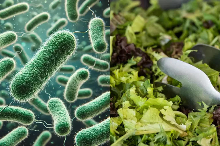 A Solution to E. Coli Risks in Food Preparation Facilities A Solution to E. Coli Risks in Food Preparation Facilities