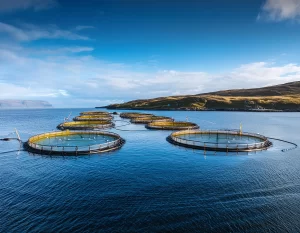 Improving Aquaculture Water Quality with Chlorine Dioxide