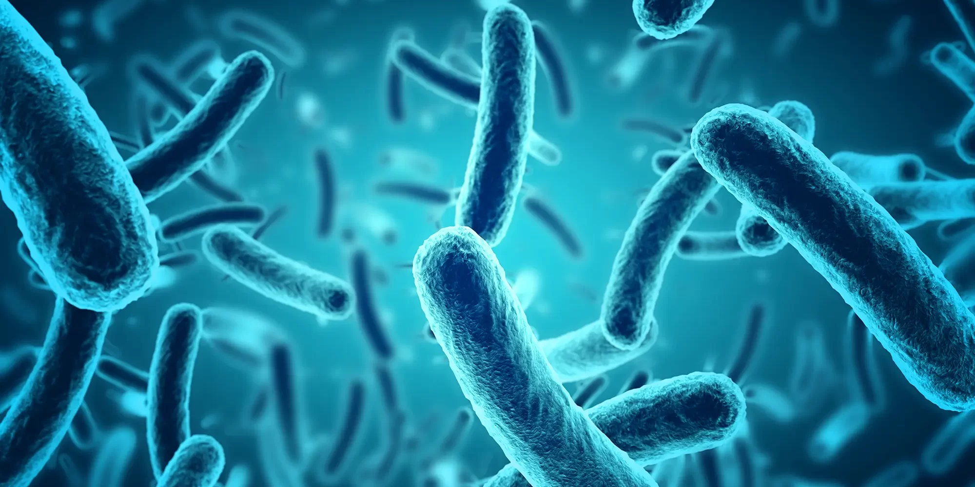 Legionella in Healthcare