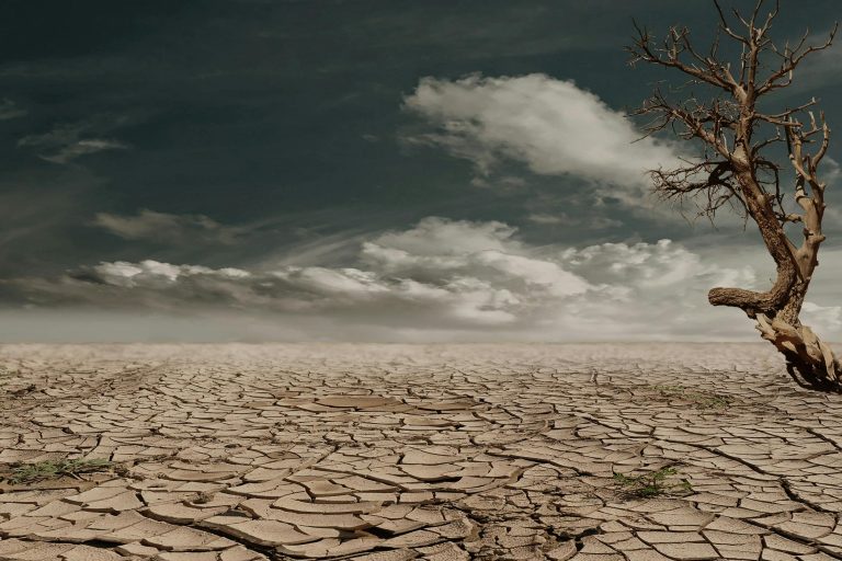 Water Scarcity: Understanding the Global Crisis