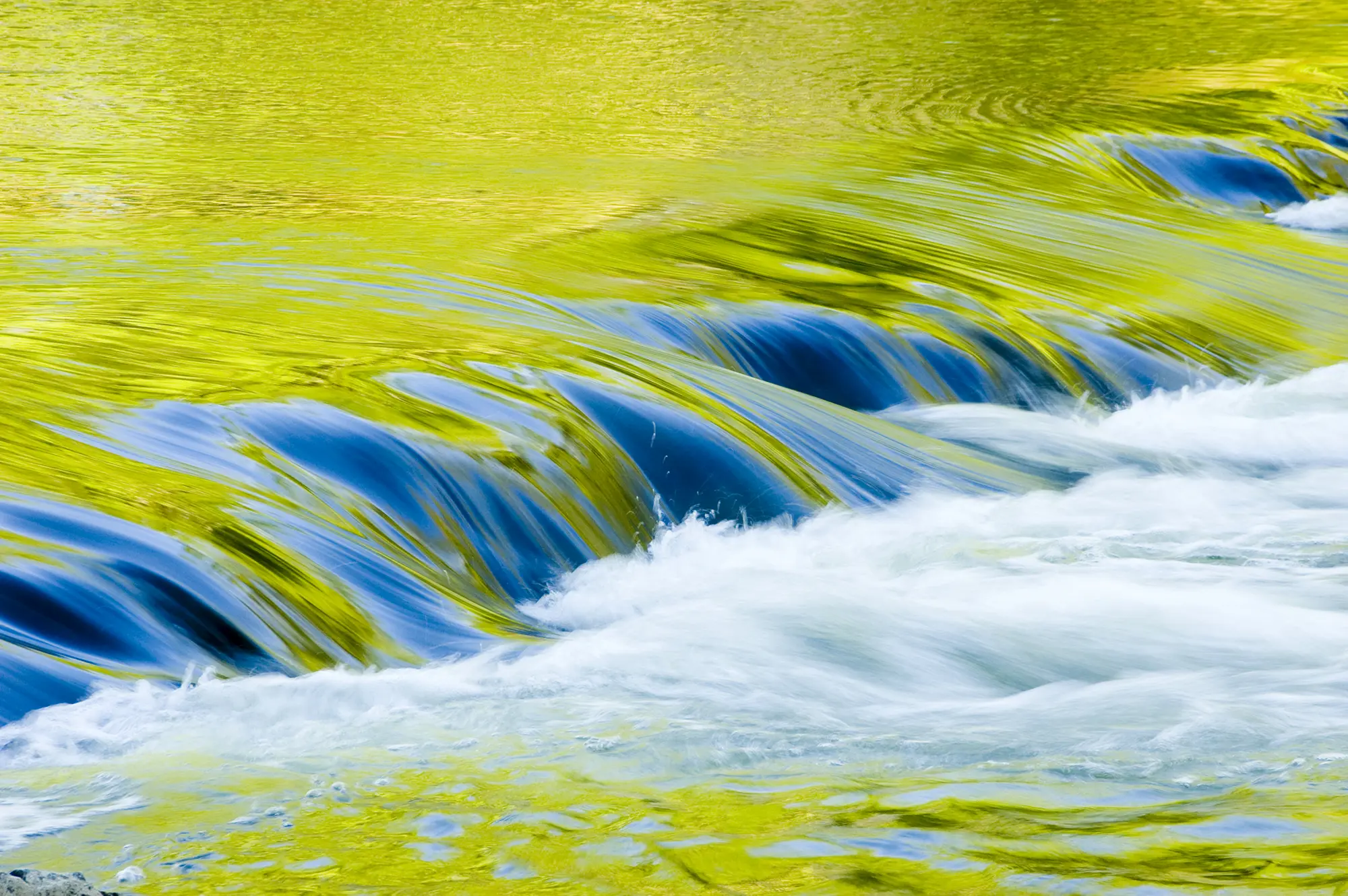 Chlorine Dioxide for Biofilm Control in Water Systems Scotmas