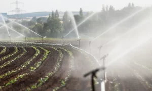 Water Quality in Agriculture