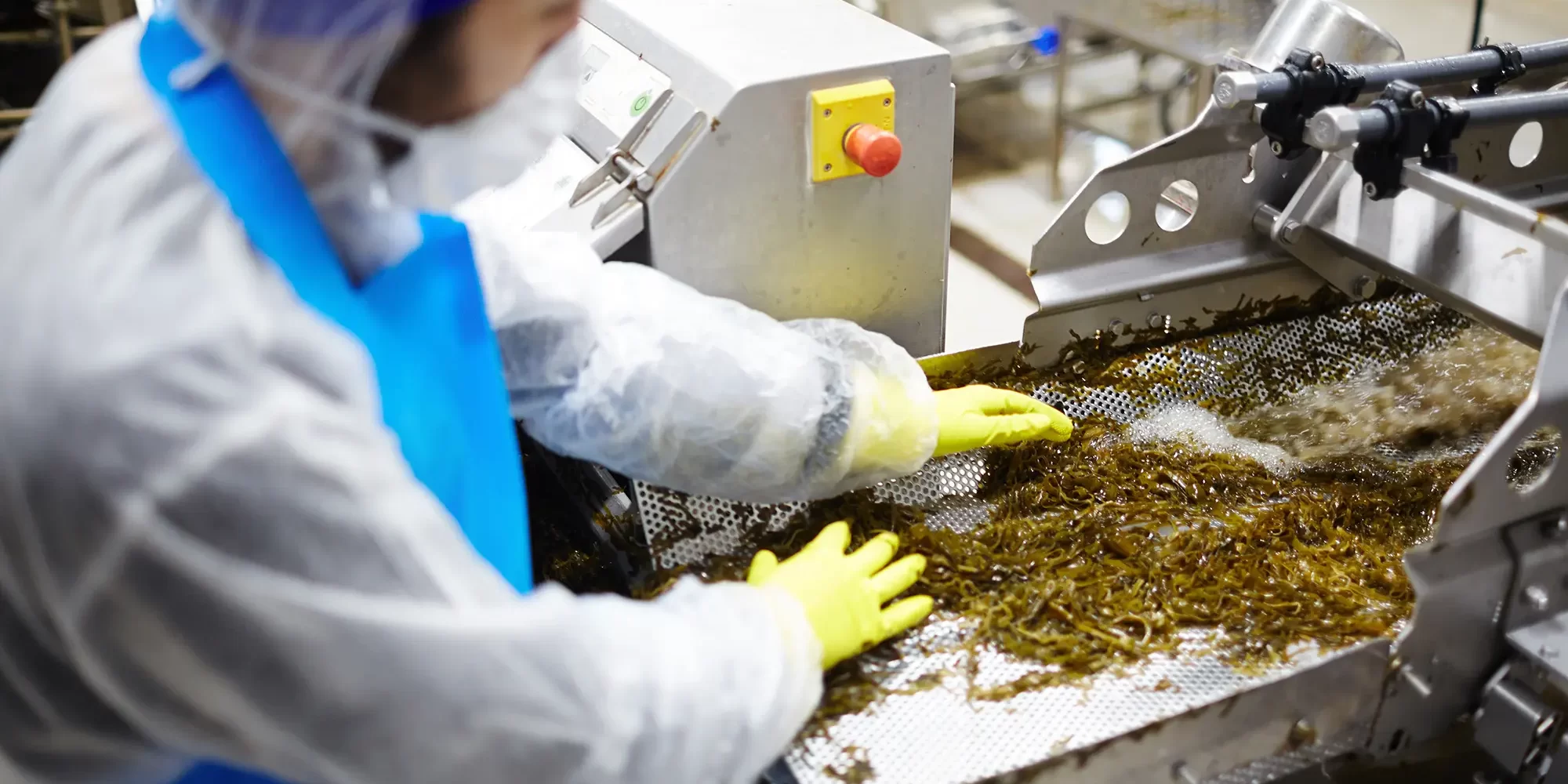 ClO2 in Food Hygiene