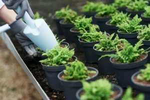 pesticides in horticulture