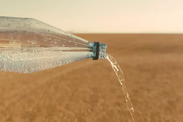 Water Bottle on a Desert
