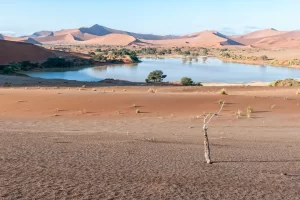Water on a desert